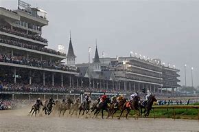 Image result for Verifying Derby Race Horse