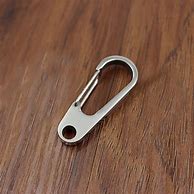 Image result for Stainless Steel Carabiner Clips