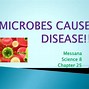 Image result for Helpful and Harmful Microorganisms