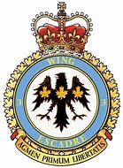 Image result for CFB Bagotville Logo