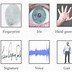 Image result for Biometric Fingerprint System Design