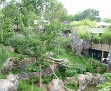 Image result for Panda Zoo Habitat
