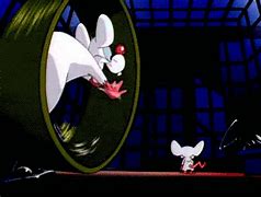 Image result for Evil Meme Pinky and the Brain