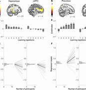 Image result for Sleep and Memory Consolidation