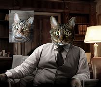 Image result for Cat Businessman