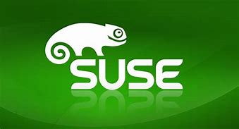 Image result for Suse