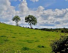 Image result for Apple Tree Hill