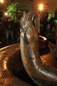 Image result for World's Largest Living Snake