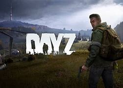 Image result for DayZ PC Game