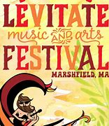 Image result for Levitate Music Festival