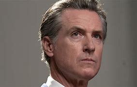 Image result for Gavin Newsom In-Laws