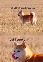 Image result for Relatable Dog Memes