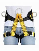Image result for Safety Belt Harness