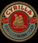 Image result for Cyrilla