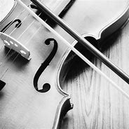Image result for Violin White and Black Wood