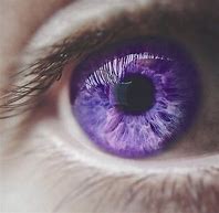 Image result for Eye Purple Vintage Aesthetic PFP