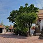 Image result for Wat Phra Chetuphon