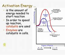 Image result for Activation Energy Error