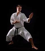 Image result for Karate Fight