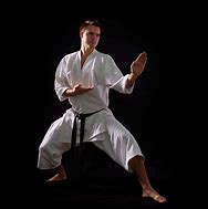 Image result for Karate Forms
