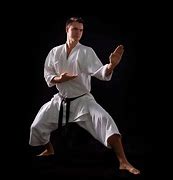 Image result for Martial Arts Karate