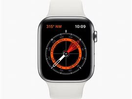 Image result for Apple Watch Modern Buckle