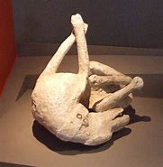 Image result for Pompeii Plaster Bodies