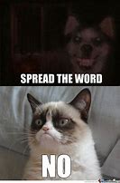 Image result for Grumpy Cat Dog