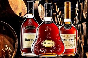 Image result for Hennessy vs Logo