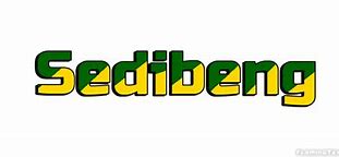 Image result for Sedibeng Logo