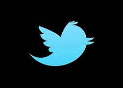 Image result for Twitter Logo for Business Card