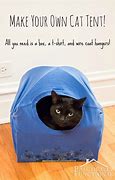 Image result for Cat Box Meme