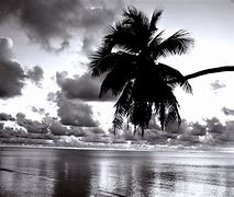 Image result for Black and White Beach Photography