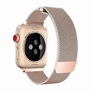 Image result for Stainless Steel Apple Watch Bands 42Mm