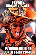 Image result for Cincinnati City Bengals Memes