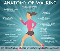 Image result for Walking Exercise Benefits