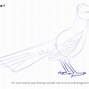 Image result for Drawing of Road Runner