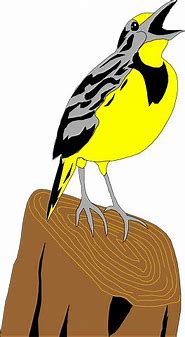 Image result for Chirping Bird PNG