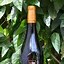 Image result for Papapietro Perry Pinot Noir Russian River Valley