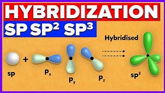 Image result for Which Carbon Is Sp or SP2