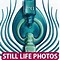 Image result for Free Still Life Photography