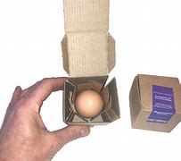 Image result for Single Egg Packaging