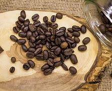 Image result for Semilla De Cafe