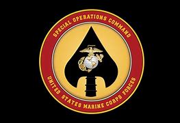 Image result for MARSOC Logo Marines Special Operations