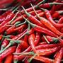 Image result for 5 Different Types of Peppers