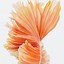 Image result for iPhone 6s Logo Wallpapper