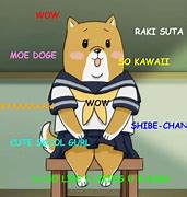 Image result for Doge Meme Anime