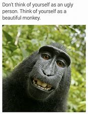 Image result for Monkey with Eye Lashes Meme