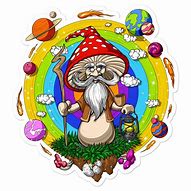 Image result for Mushroom Wizard Trippy
