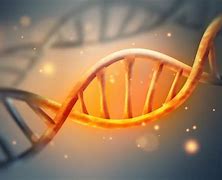 Image result for Droid DNA